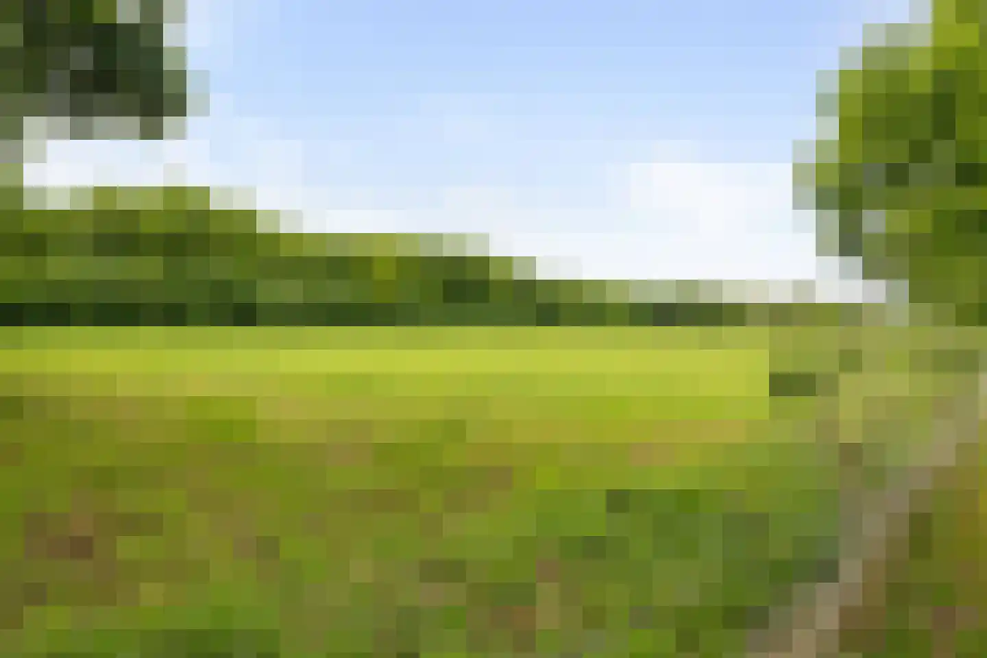 Meijelseweg 67 Beringe thumbnail 61