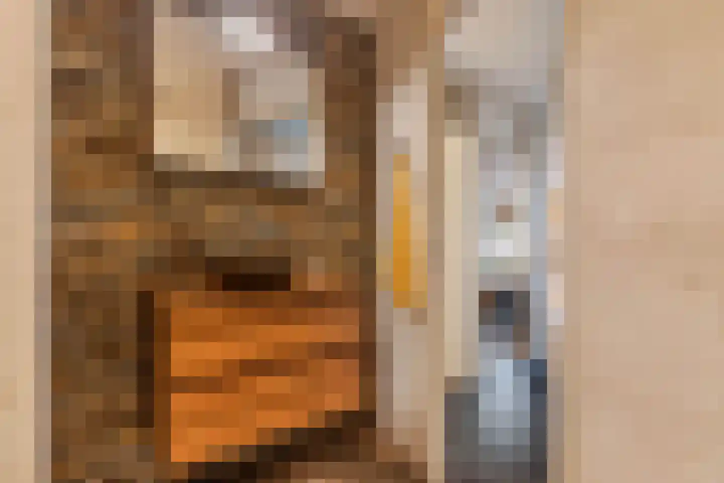 Meijendel 18 Beverwijk thumbnail 20