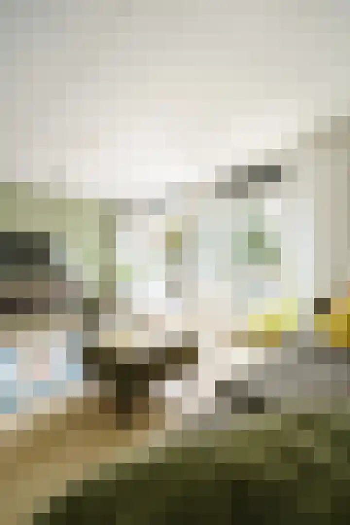 Meijendel 3 Beverwijk thumbnail 10