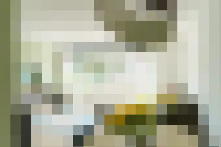 Meijendel 3 Beverwijk thumbnail 12