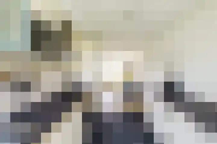 Meijendel 3 Beverwijk thumbnail 15