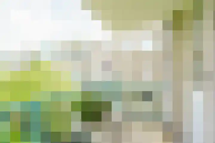 Meijendel 3 Beverwijk thumbnail 16
