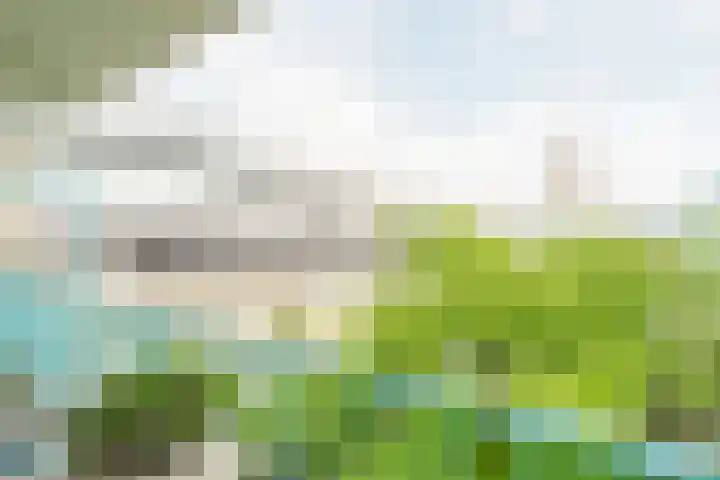 Meijendel 3 Beverwijk thumbnail 17