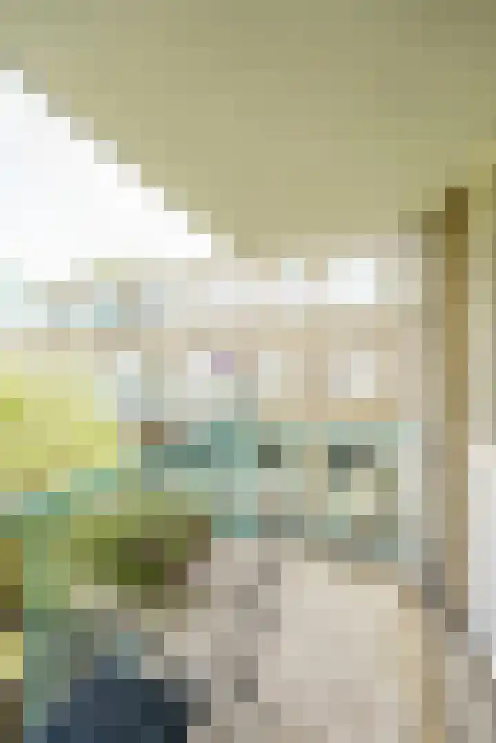 Meijendel 3 Beverwijk thumbnail 18