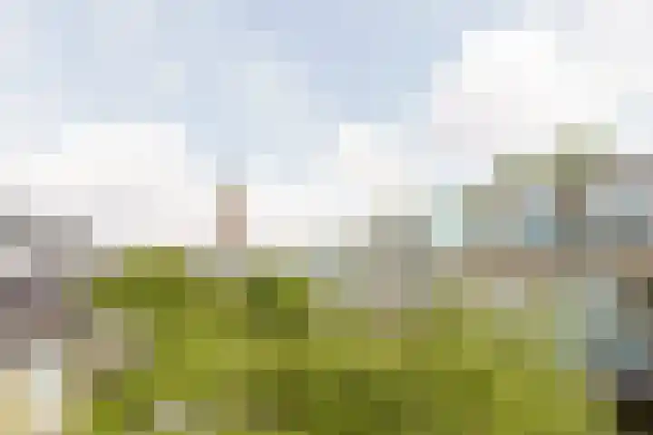 Meijendel 3 Beverwijk thumbnail 20
