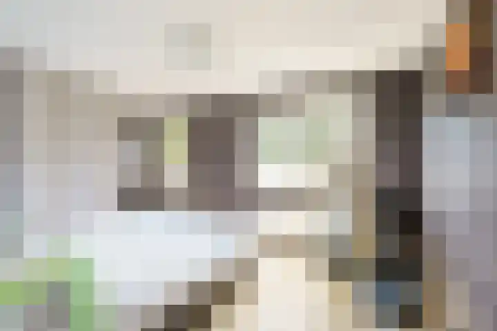 Meijendel 3 Beverwijk thumbnail 22
