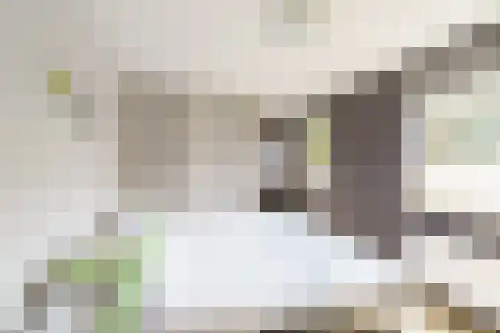 Meijendel 3 Beverwijk thumbnail 23