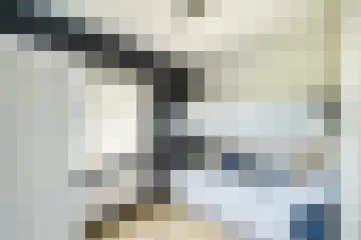 Meijendel 3 Beverwijk thumbnail 26