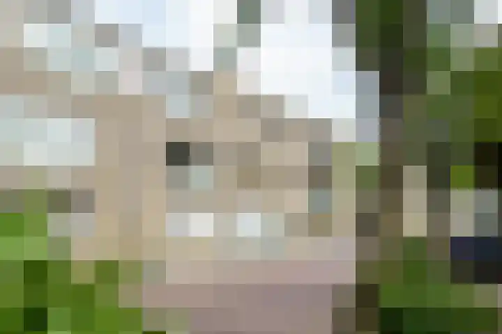 Meijendel 3 Beverwijk thumbnail 32
