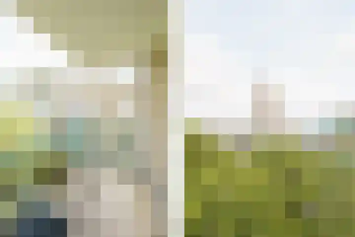 Meijendel 3 Beverwijk thumbnail 33