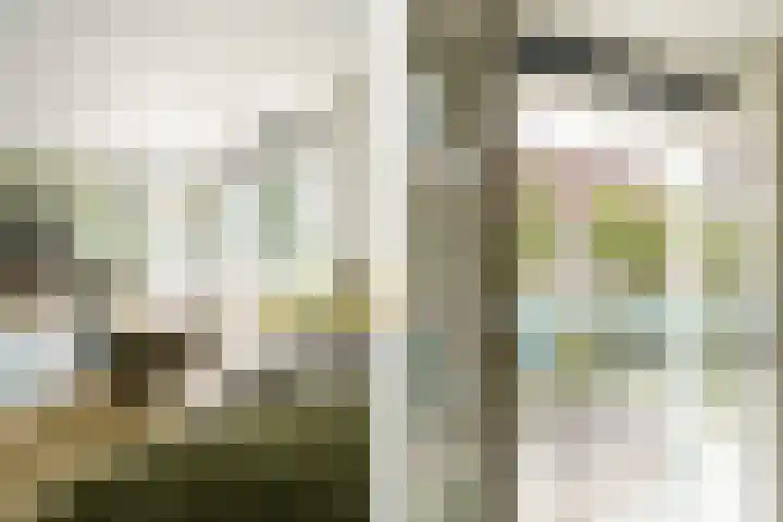 Meijendel 3 Beverwijk thumbnail 34