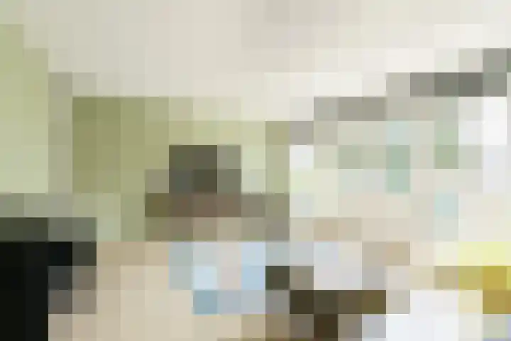 Meijendel 3 Beverwijk thumbnail 5