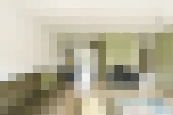 Meijendel 3 Beverwijk thumbnail 8