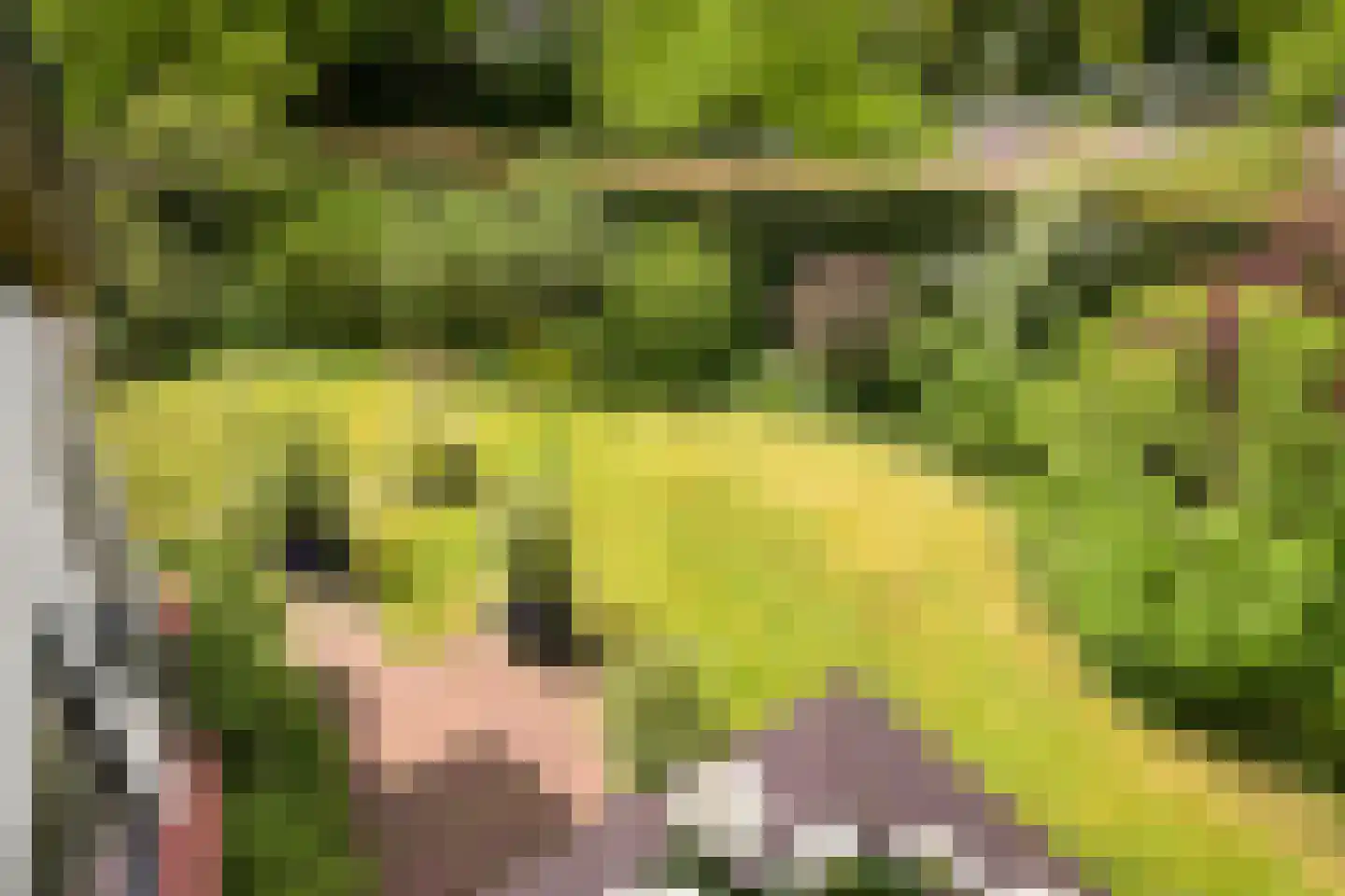 Meijendelseweg 10 Wassenaar thumbnail 17