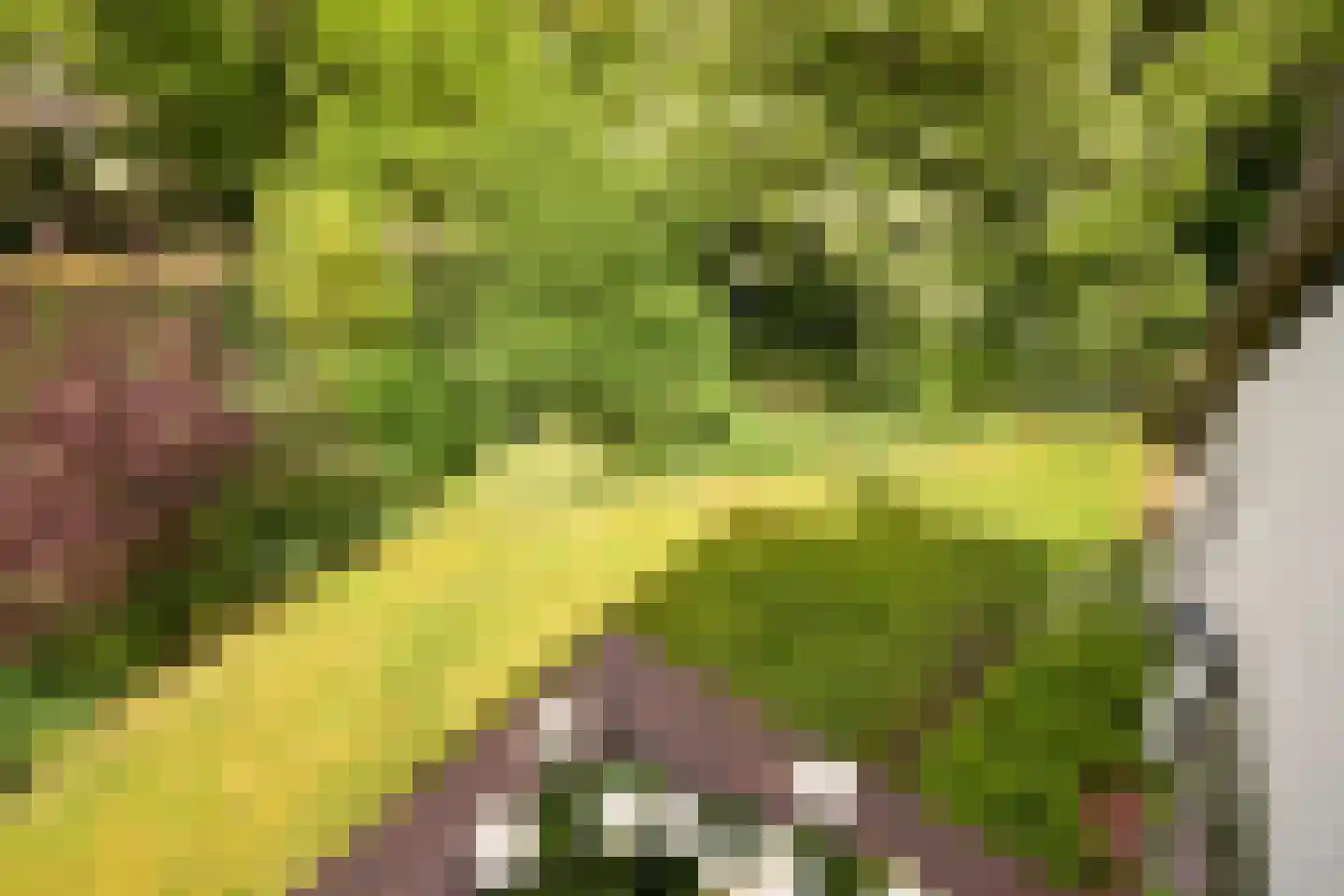 Meijendelseweg 10 Wassenaar thumbnail 19
