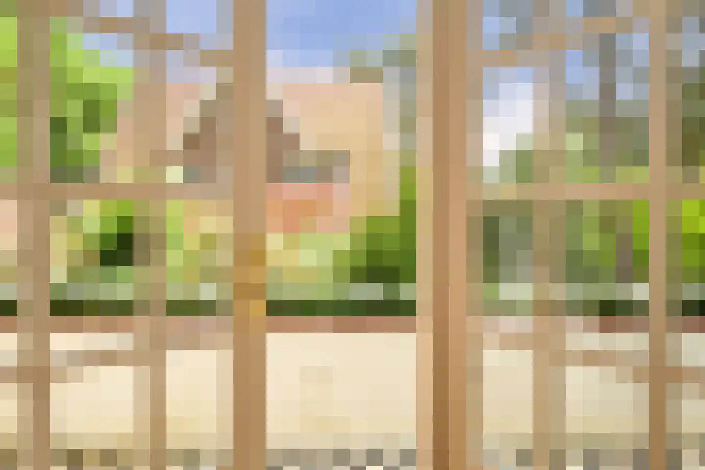 Meijendelseweg 10 Wassenaar thumbnail 27