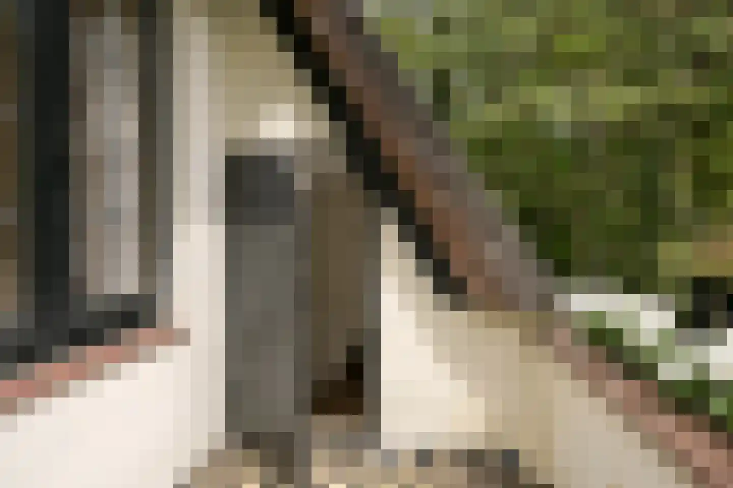 Meijendelseweg 10 Wassenaar thumbnail 30