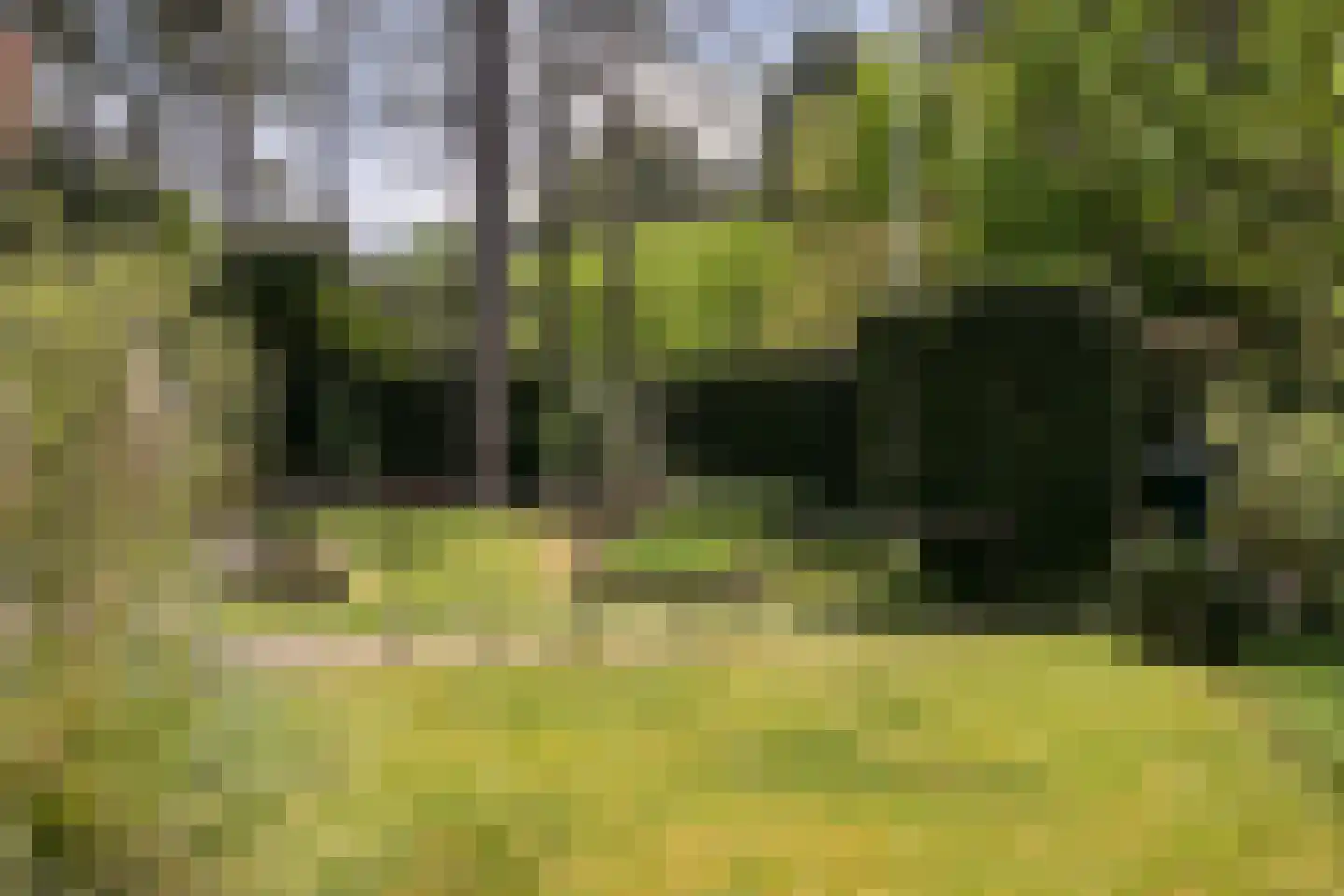 Meijendelseweg 10 Wassenaar thumbnail 44