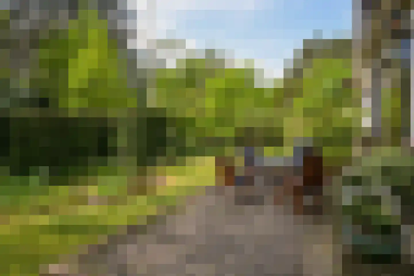 Meijendelseweg 10 Wassenaar thumbnail 45