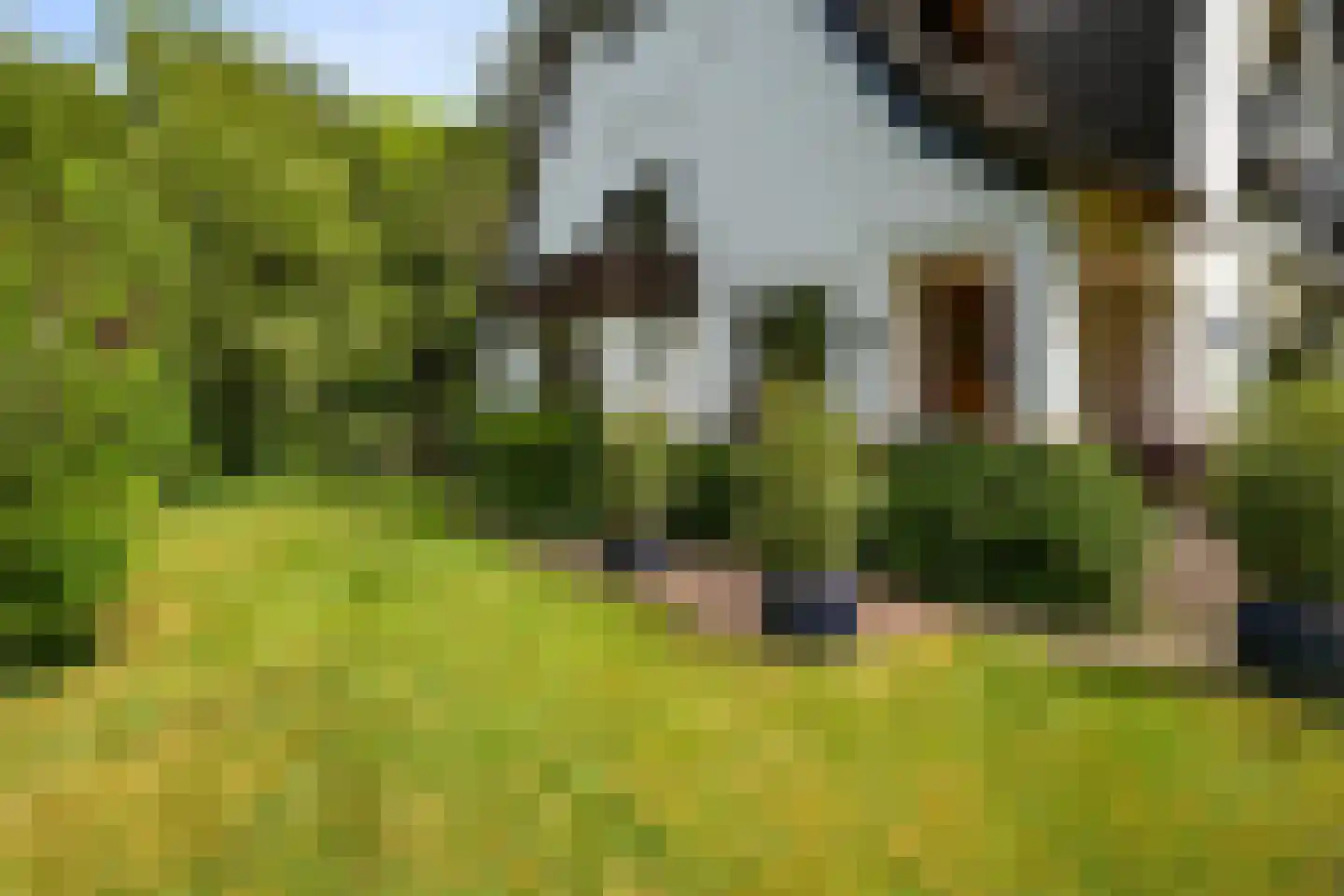 Meijendelseweg 10 Wassenaar thumbnail 47
