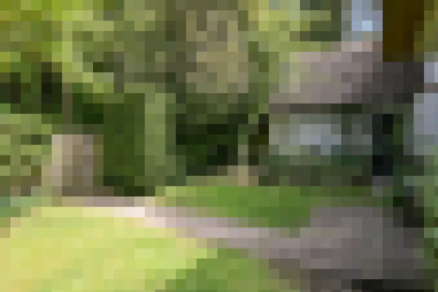 Meijendelseweg 10 Wassenaar thumbnail 49