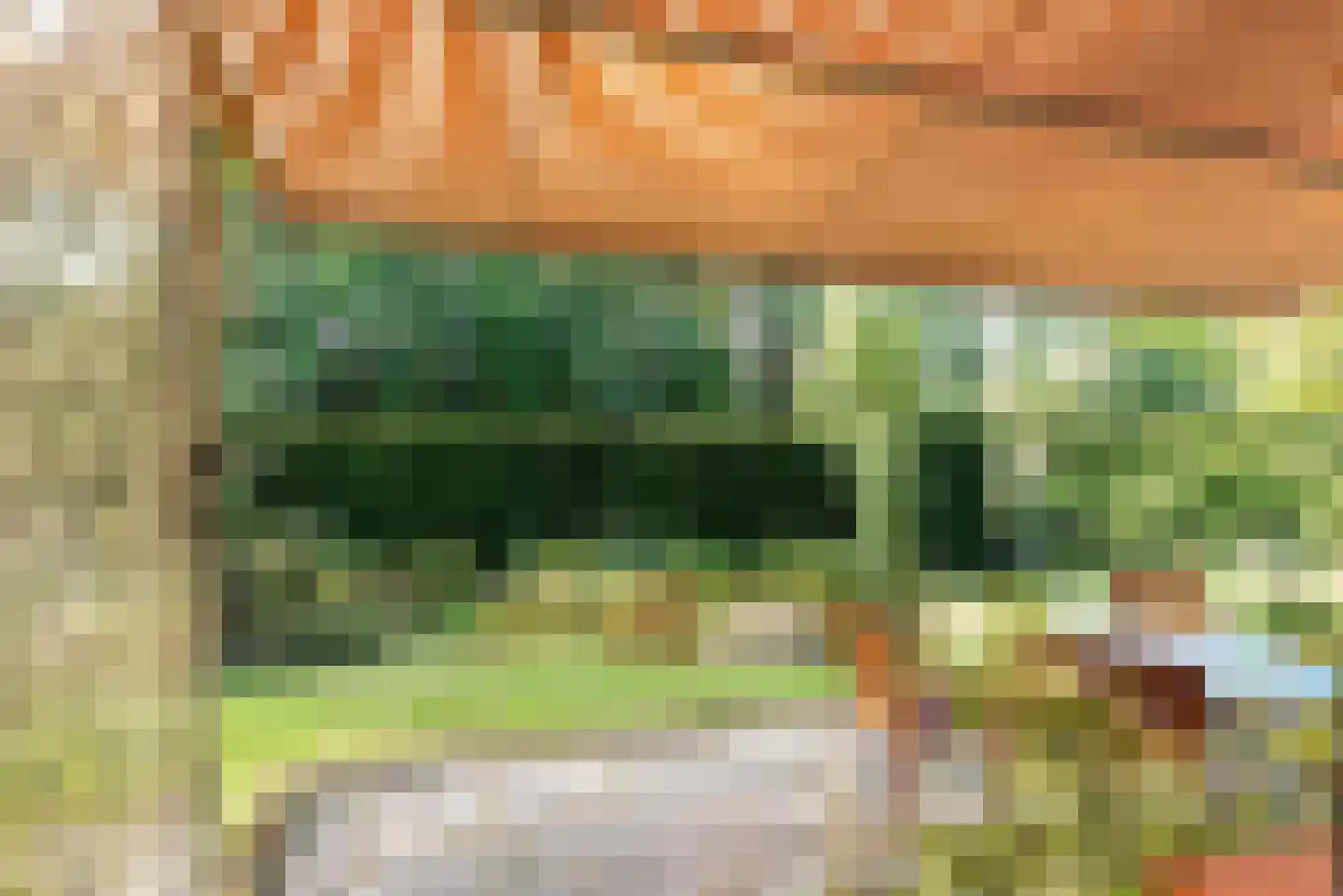 Meijendelseweg 10 Wassenaar thumbnail 5