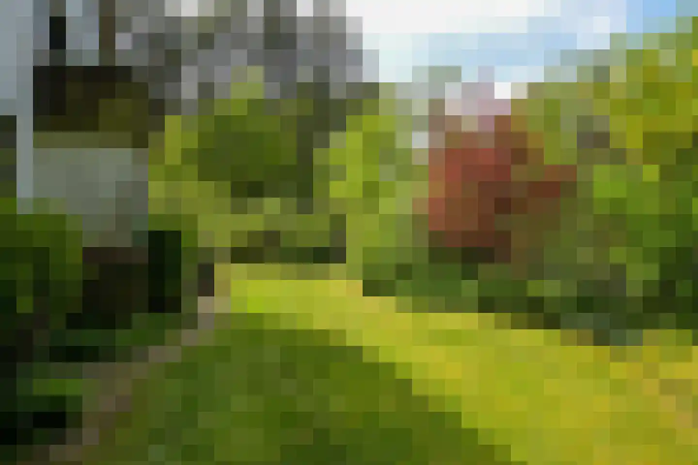 Meijendelseweg 10 Wassenaar thumbnail 51