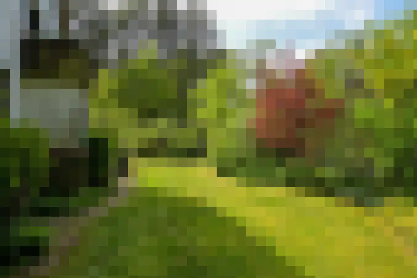 Meijendelseweg 10 Wassenaar thumbnail 51