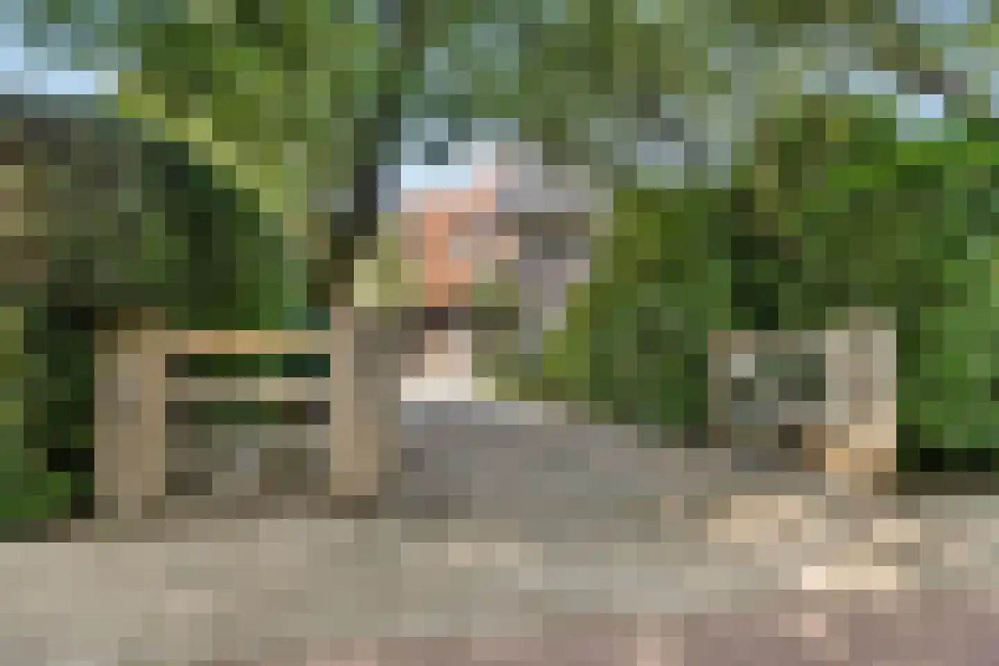 Meijendelseweg 14 Wassenaar thumbnail 11