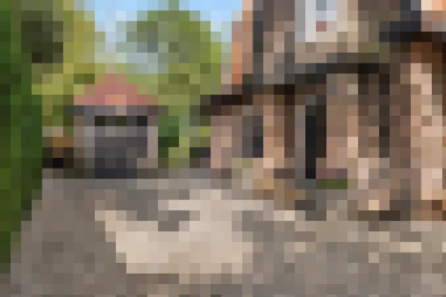 Meijendelseweg 14 Wassenaar thumbnail 12