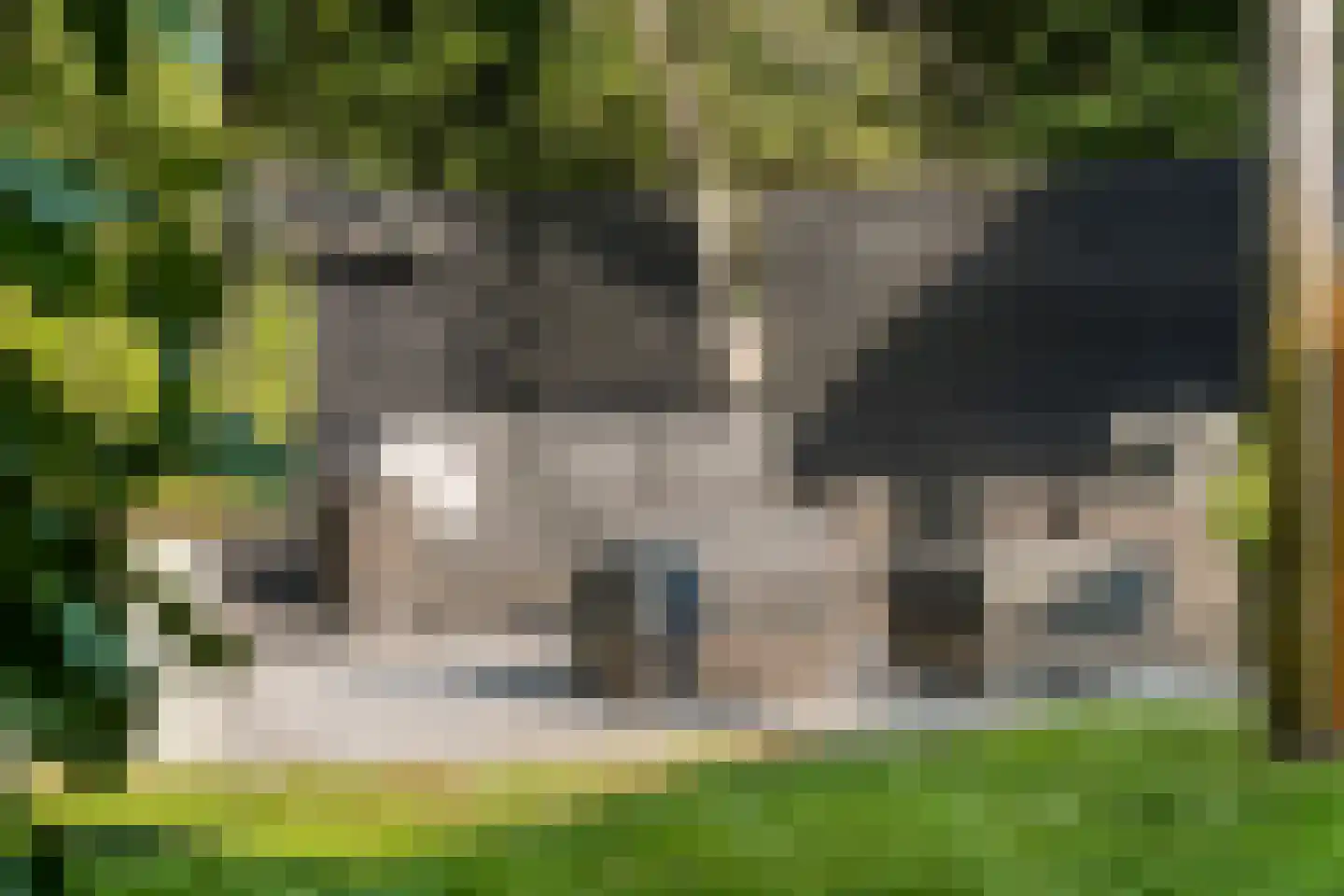 Meijendelseweg 14 Wassenaar thumbnail 38