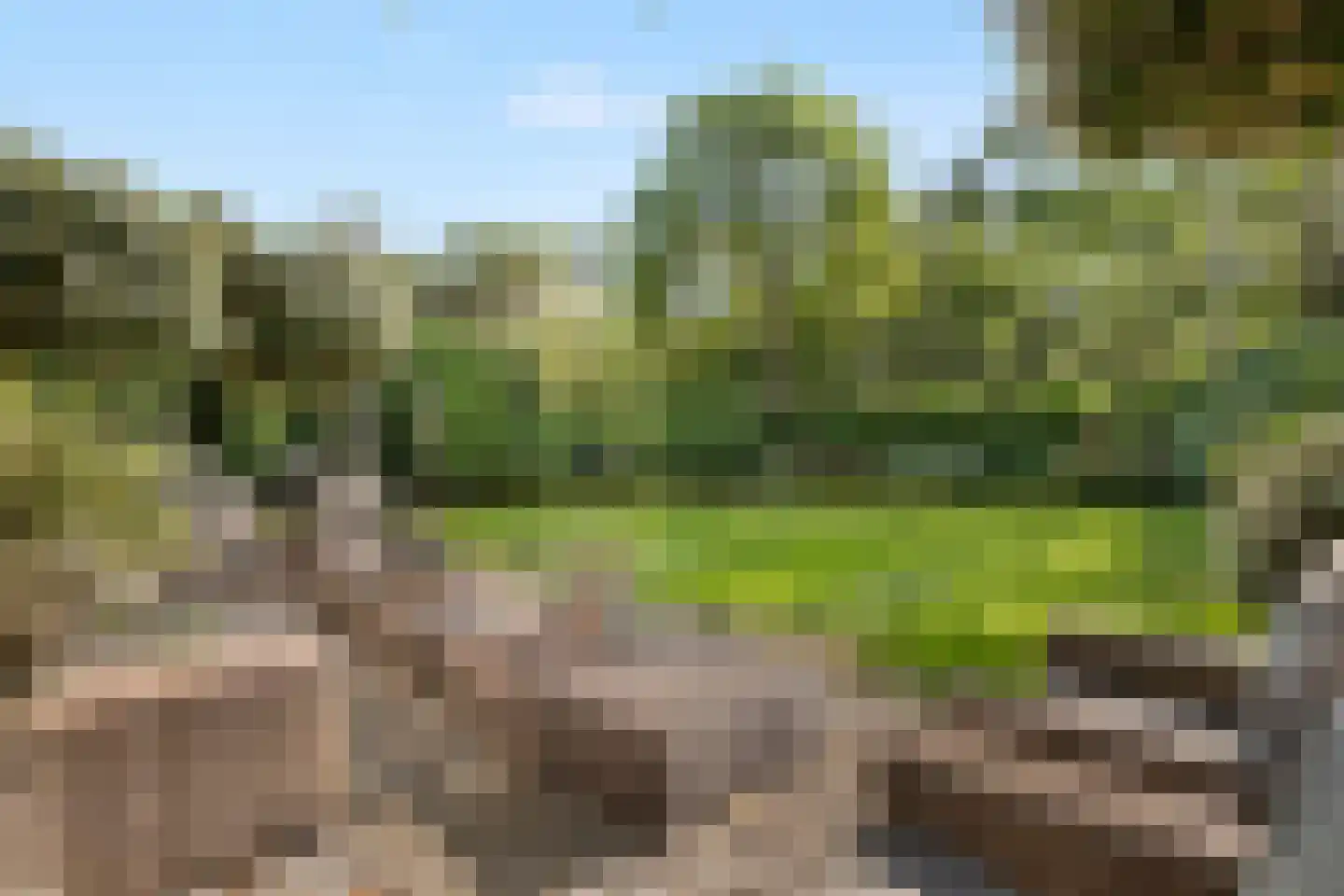 Meijendelseweg 14 Wassenaar thumbnail 39
