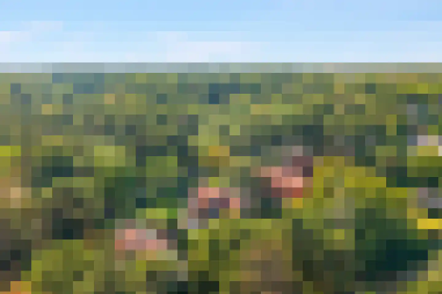 Meijendelseweg 14 Wassenaar thumbnail 42