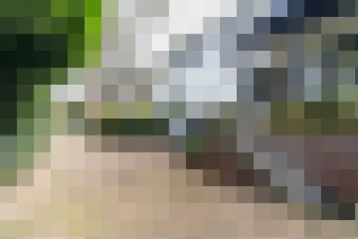 Meijendelseweg 20 Wassenaar thumbnail 10