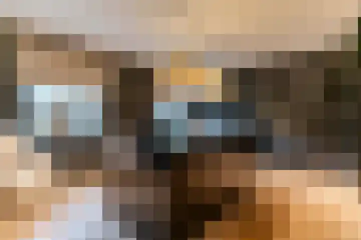 Meijendelseweg 20 Wassenaar thumbnail 31