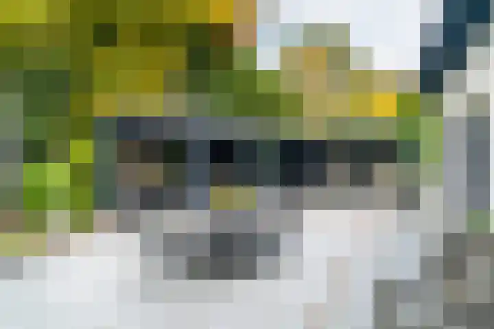Meijendelseweg 20 Wassenaar thumbnail 35