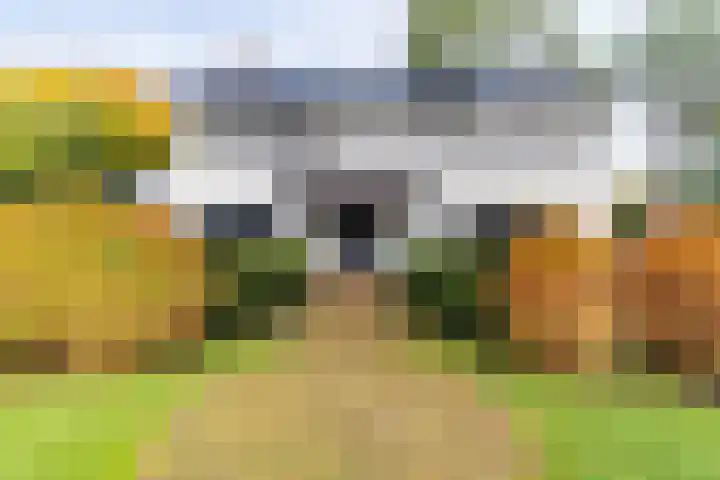 Meijendelseweg 20 Wassenaar thumbnail 4