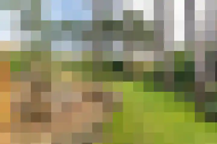 Meijendelseweg 20 Wassenaar thumbnail 5