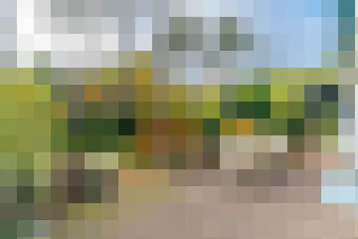 Meijendelseweg 20 Wassenaar thumbnail 6