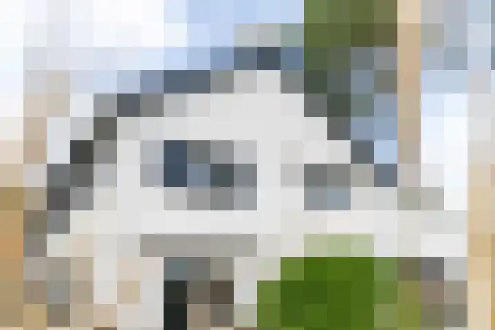Meijendelseweg 20 Wassenaar thumbnail 7