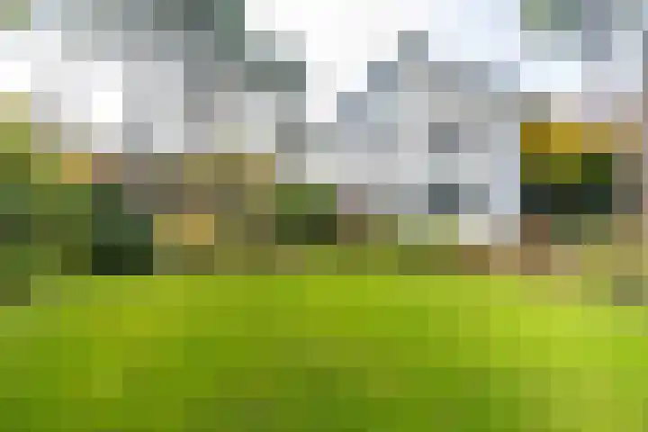 Meijendelseweg 20 Wassenaar thumbnail 8