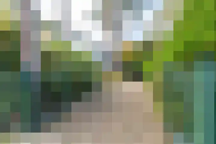 Meijendelseweg 20 Wassenaar thumbnail 9