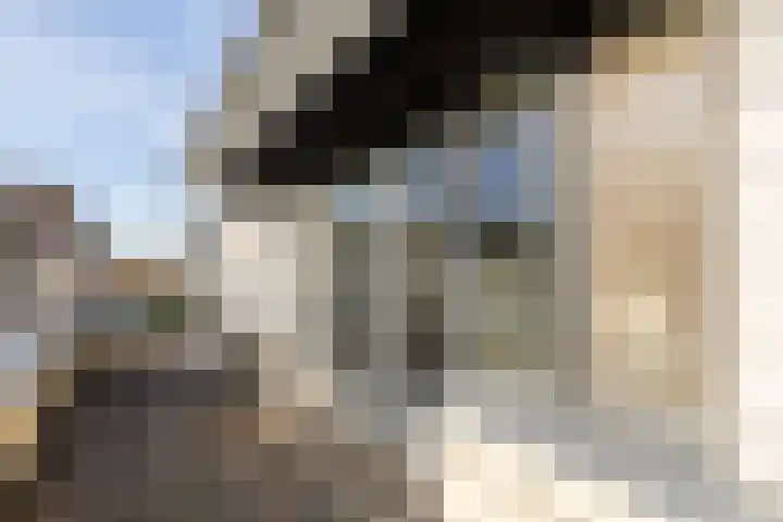 Meijepolder 48 Amersfoort thumbnail 47