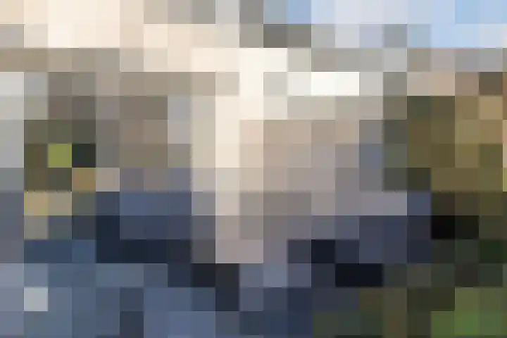 Meijepolder 48 Amersfoort thumbnail 52