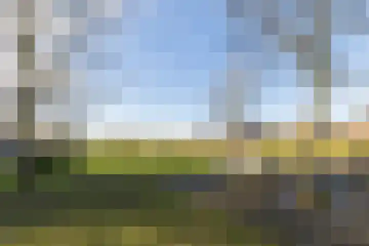 Meijepolder 48 Amersfoort thumbnail 57
