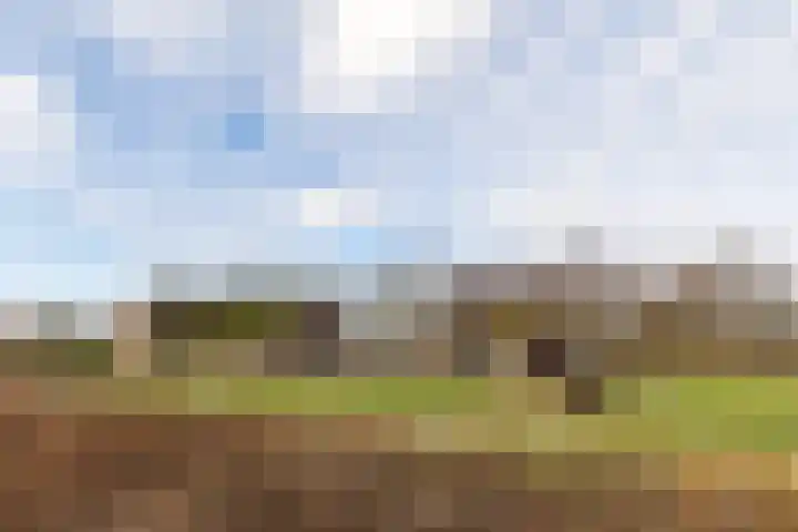 Meijepolder 48 Amersfoort thumbnail 59
