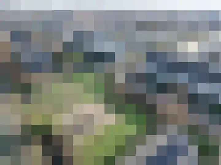 Meijepolder 48 Amersfoort thumbnail 64