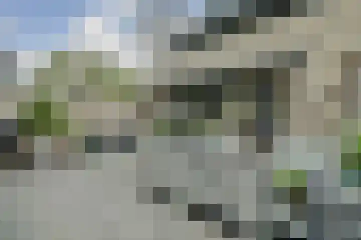 Meijepolder 82 Amersfoort thumbnail 27