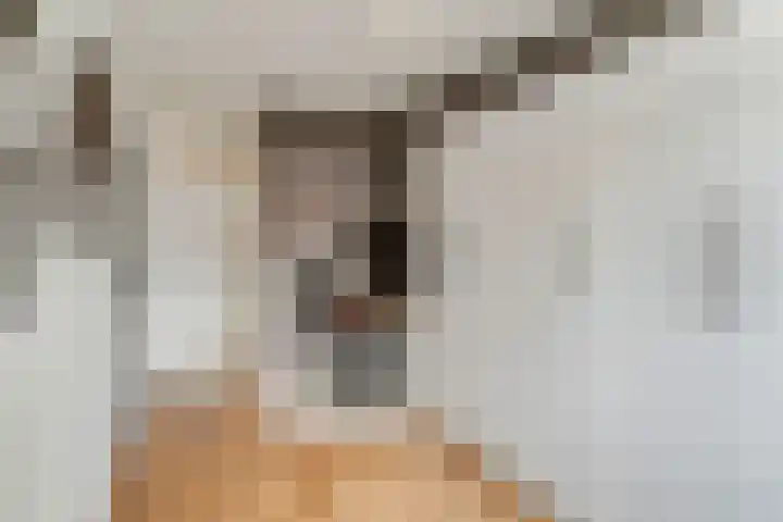 Meijer van Leeuwenstraat 13 Oss thumbnail 11