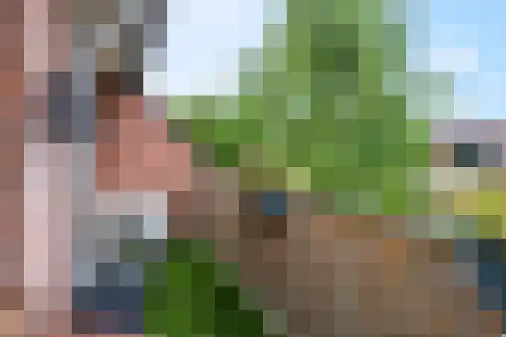 Meijer van Leeuwenstraat 13 Oss thumbnail 12